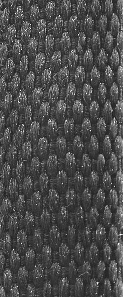 43500BKC_Texture